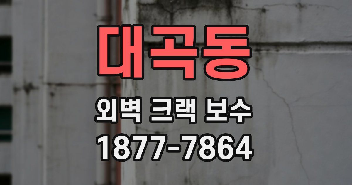 대곡동 외벽 크랙 보수
