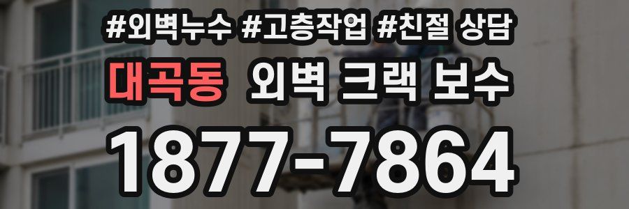 대곡동 외벽 크랙 보수