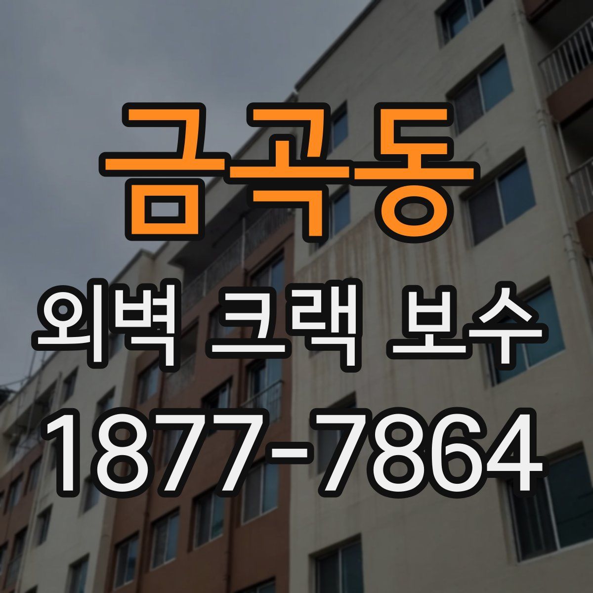 금곡동 외벽 크랙 보수