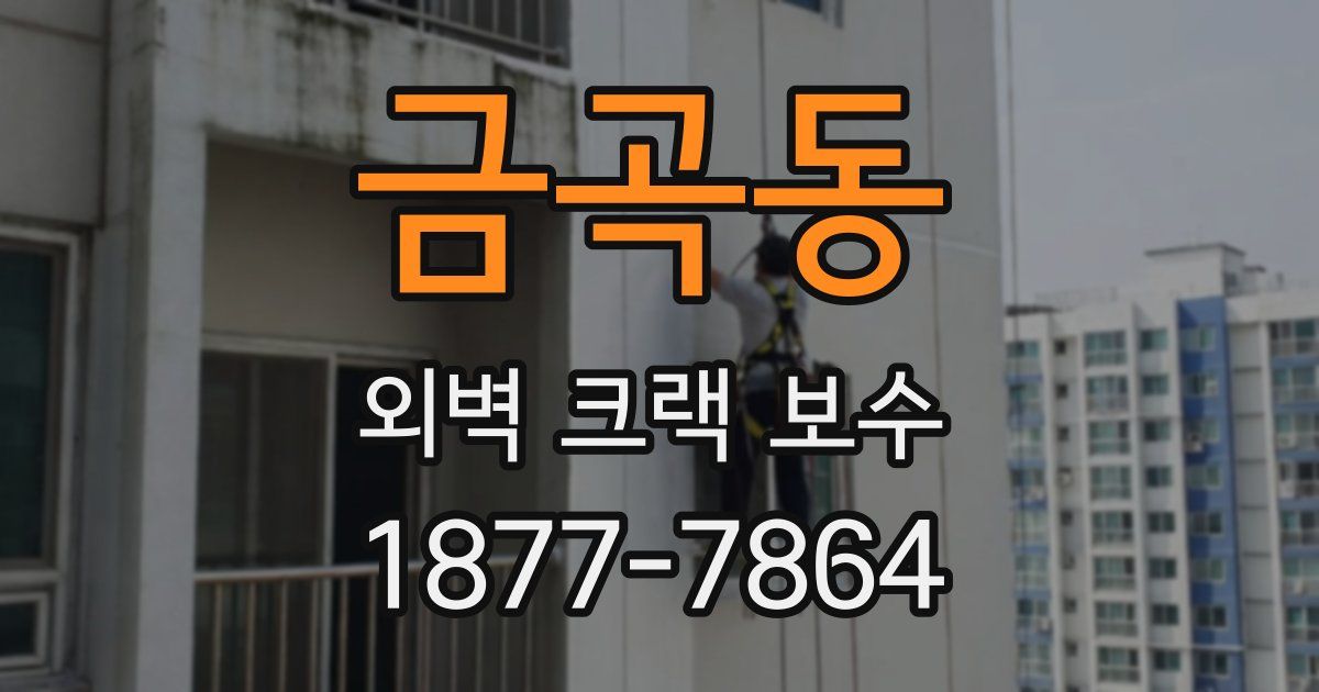 금곡동 외벽 크랙 보수
