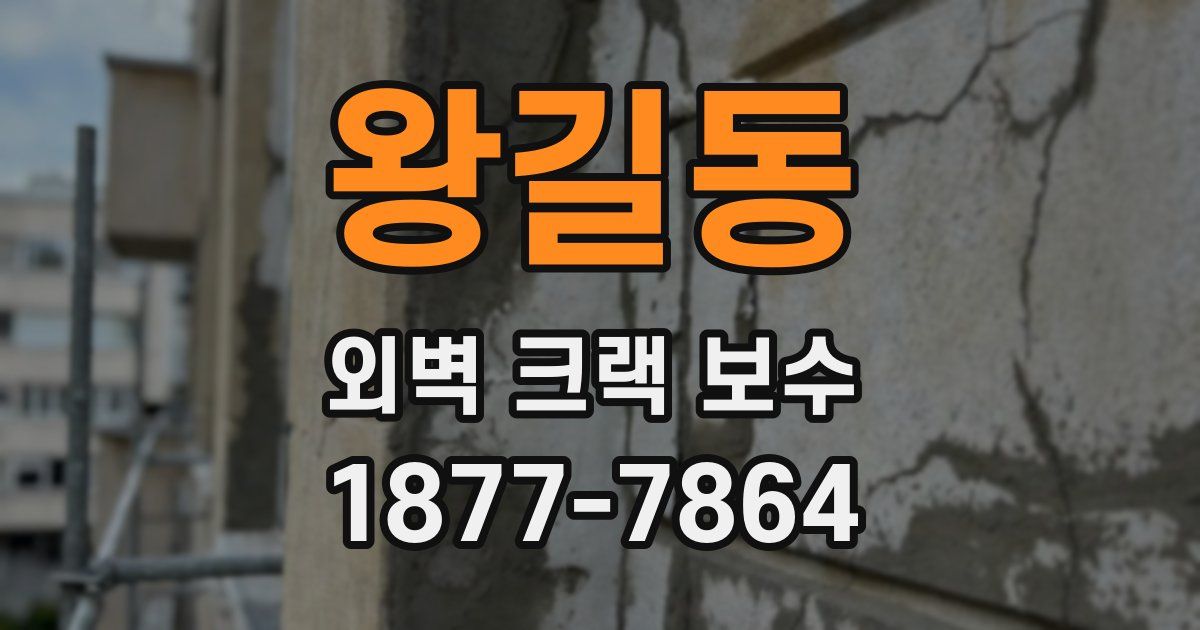 왕길동 외벽 크랙 보수
