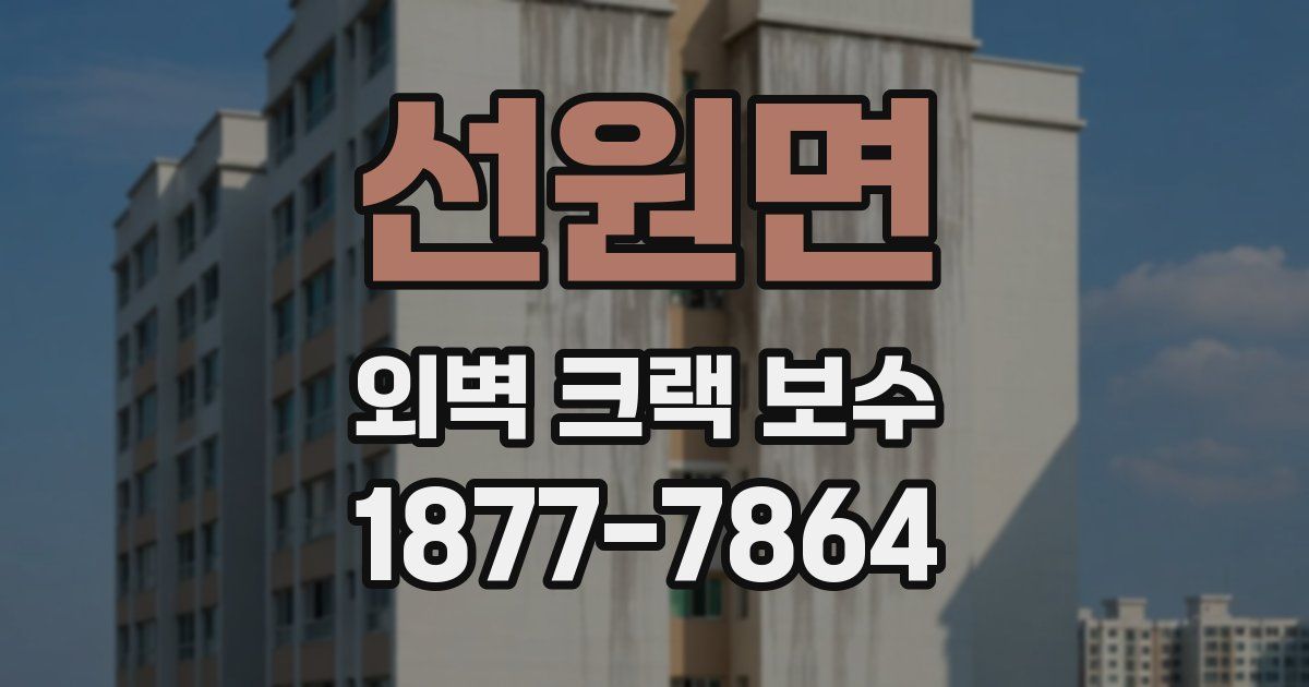선원면 외벽 크랙 보수