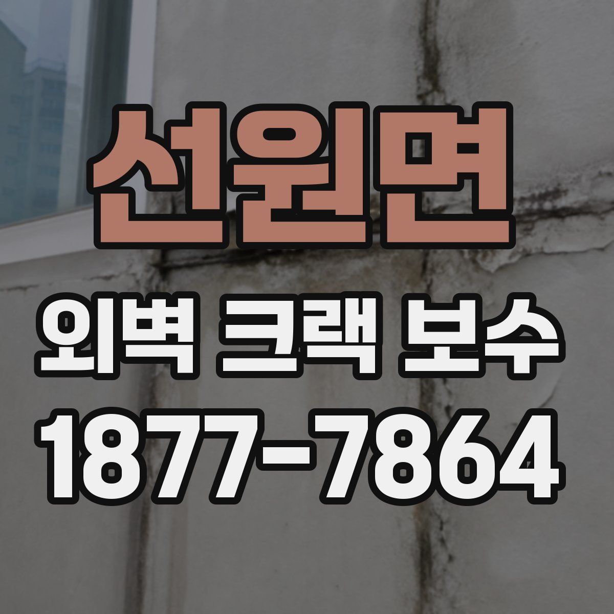 선원면 외벽 크랙 보수