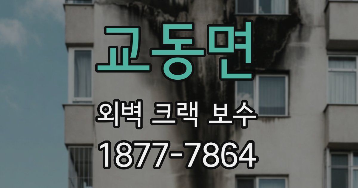 교동면 외벽 크랙 보수