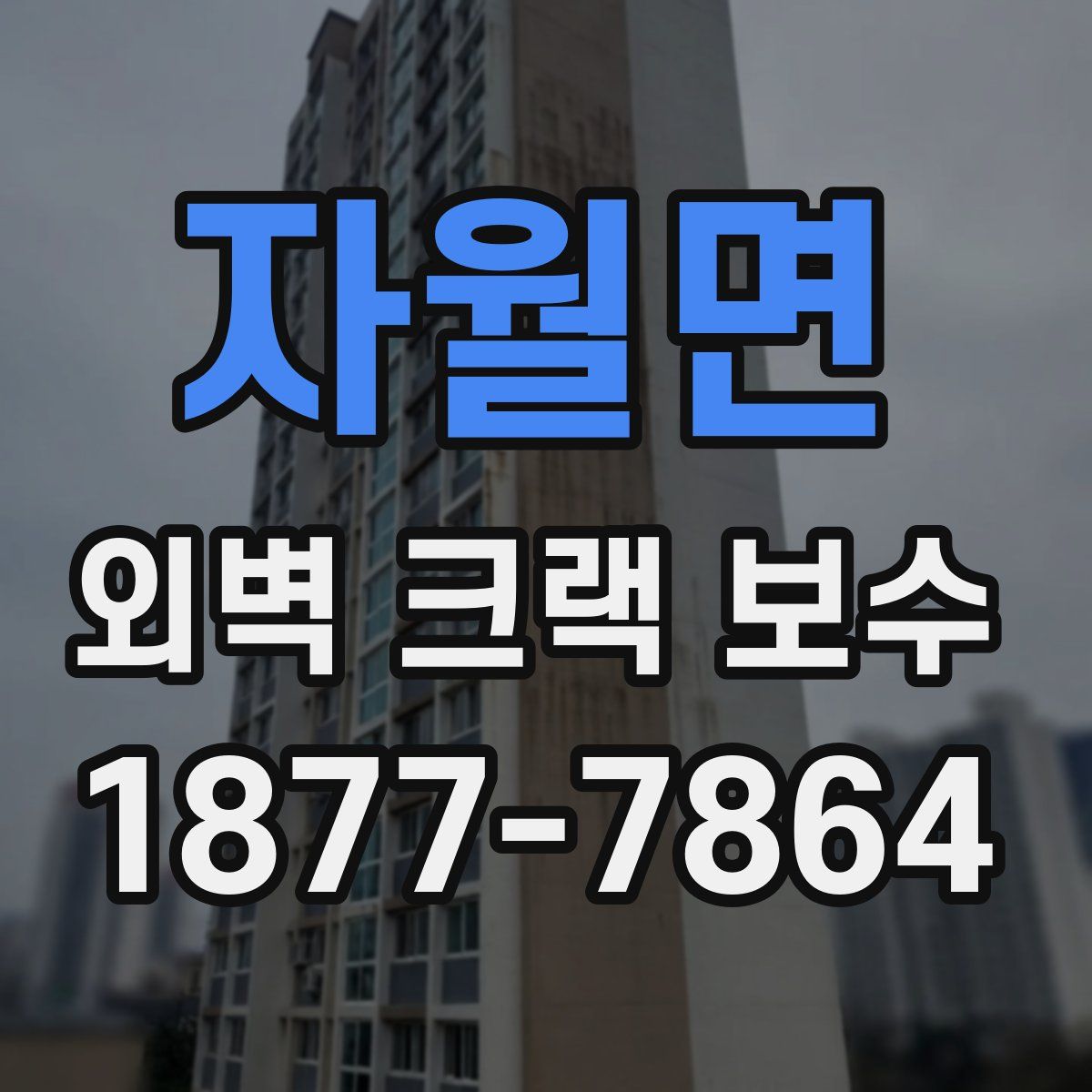 자월면 외벽 크랙 보수
