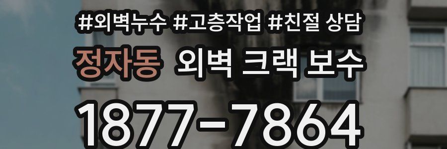 정자동 외벽 크랙 보수