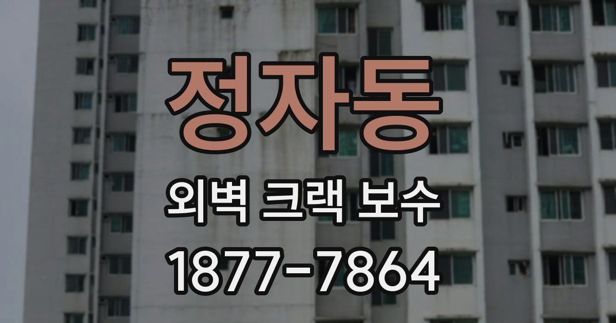 정자동 외벽 크랙 보수
