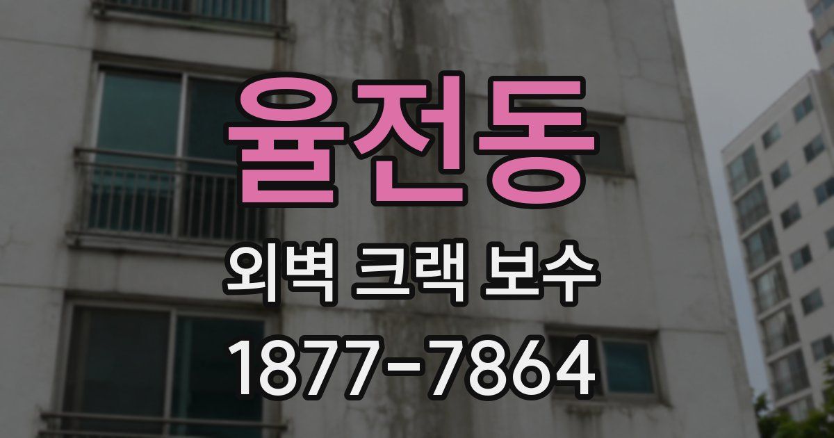 율전동 외벽 크랙 보수