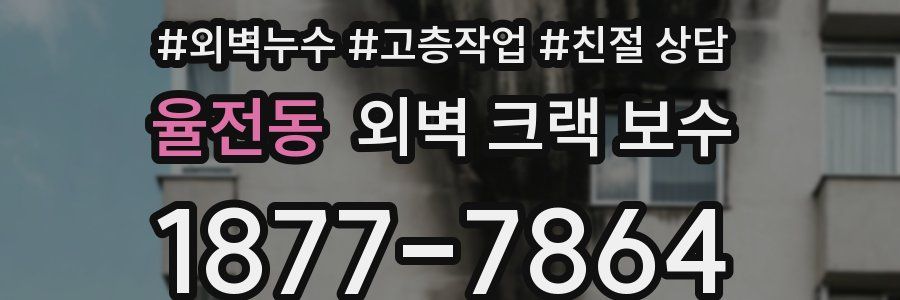 율전동 외벽 크랙 보수