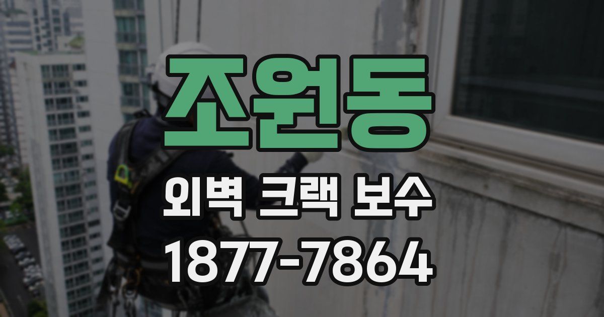 조원동 외벽 크랙 보수