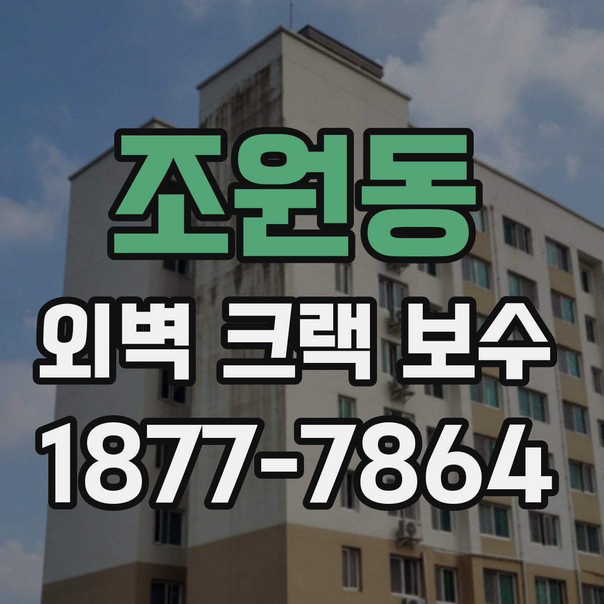 조원동 외벽 크랙 보수