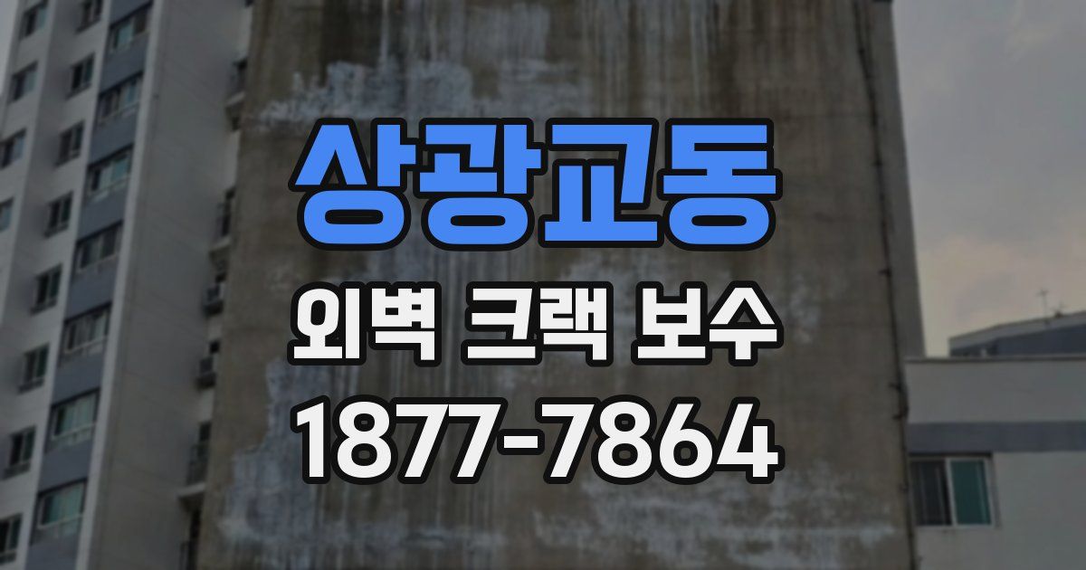 상광교동 외벽 크랙 보수