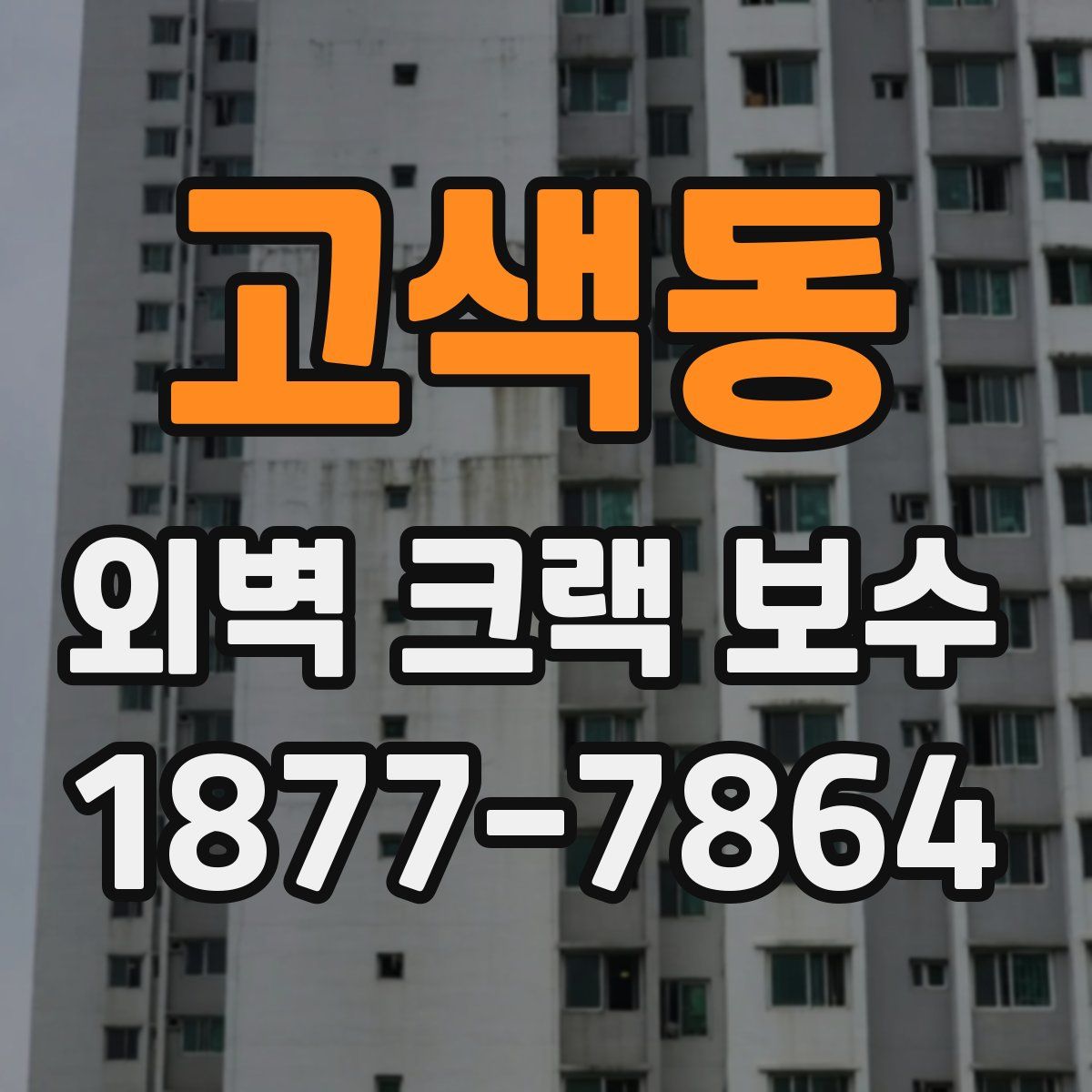 고색동 외벽 크랙 보수