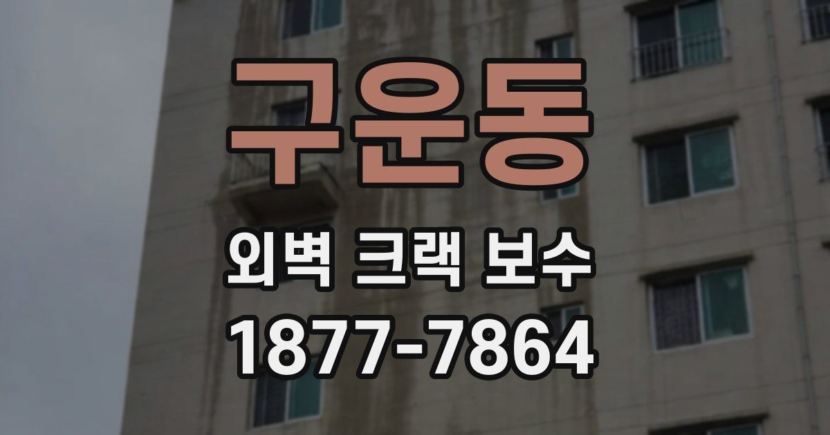 구운동 외벽 크랙 보수