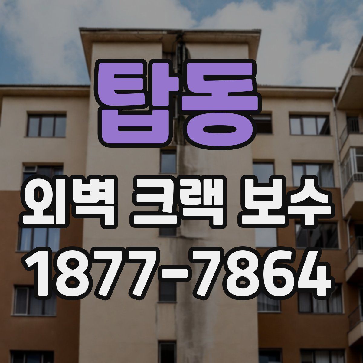 탑동 외벽 크랙 보수