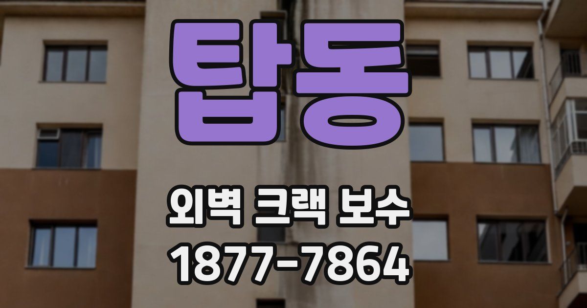 탑동 외벽 크랙 보수