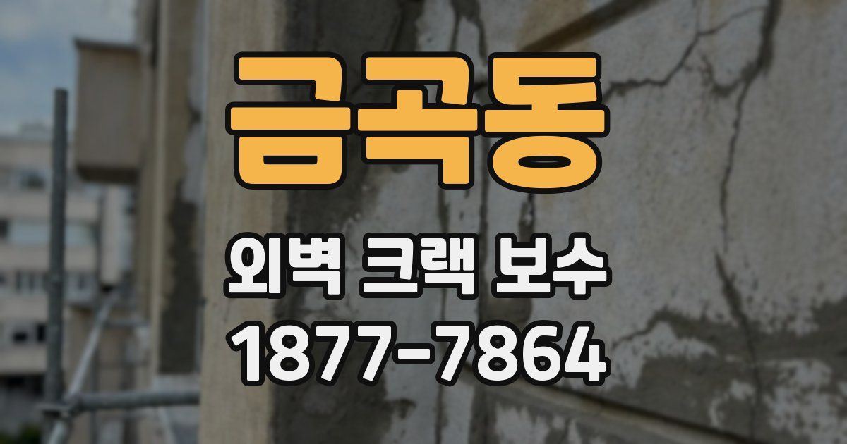 금곡동 외벽 크랙 보수