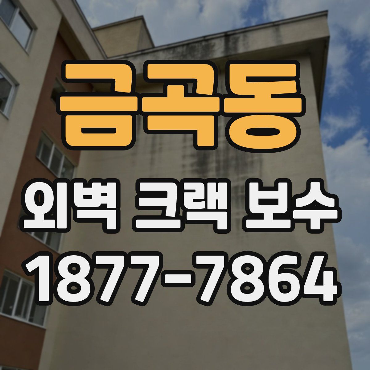금곡동 외벽 크랙 보수