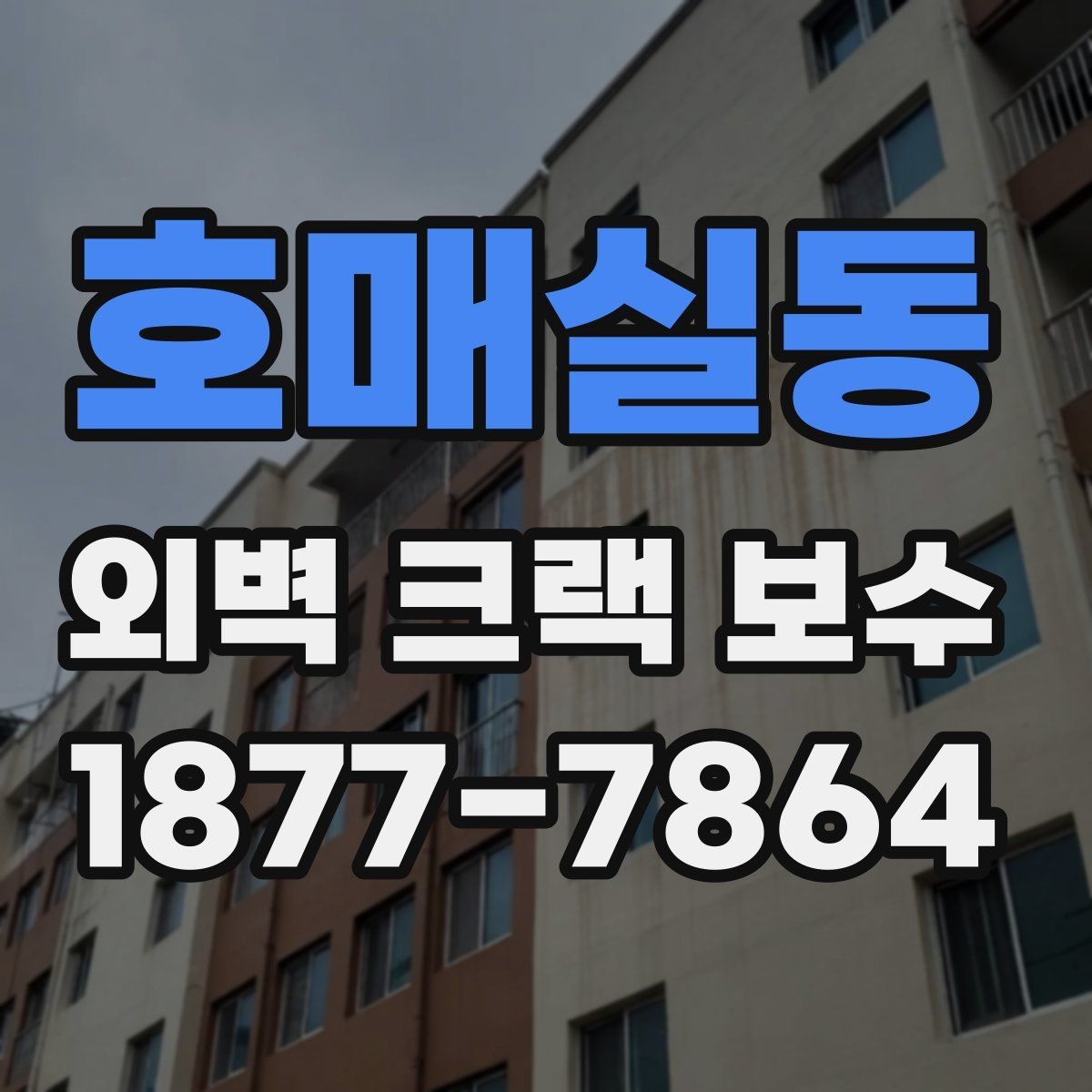 호매실동 외벽 크랙 보수 비용은 어떻게 산정될까