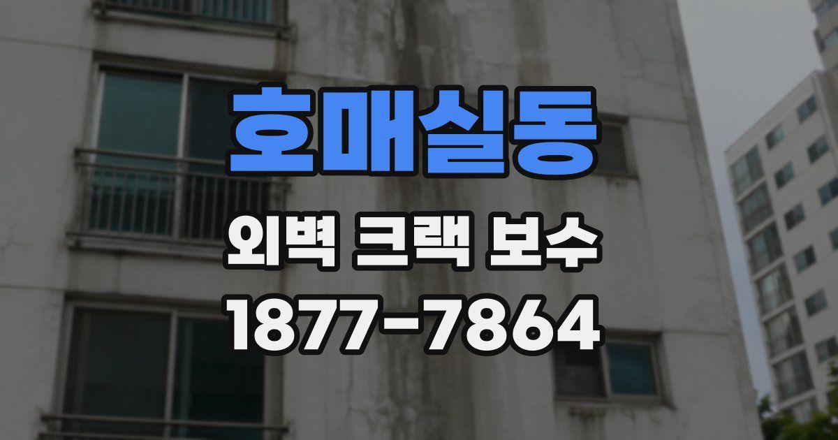 호매실동 외벽 크랙 보수