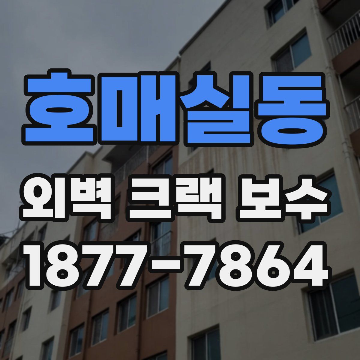 호매실동 외벽 크랙 보수