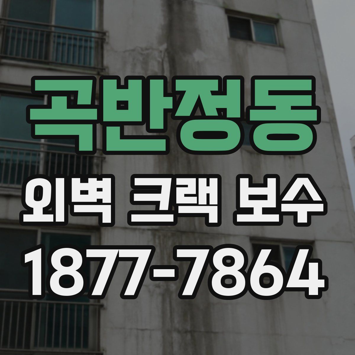 곡반정동 외벽 크랙 보수