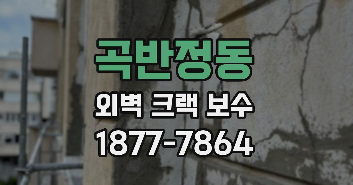 곡반정동 외벽 크랙 보수