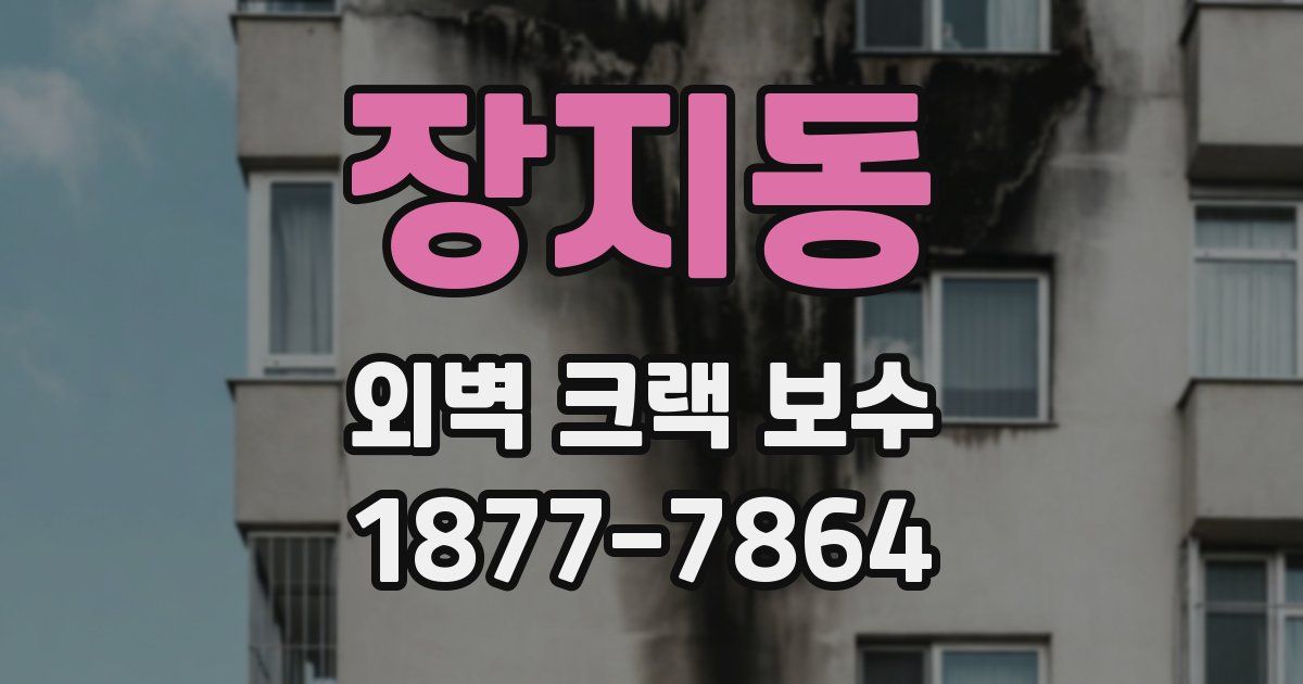 장지동 외벽 크랙 보수