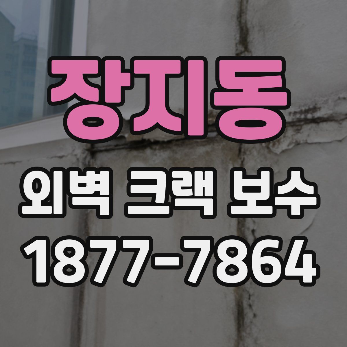 장지동 외벽 크랙 보수