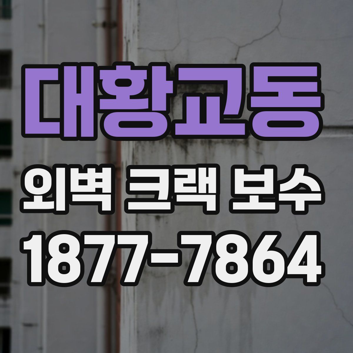 대황교동 외벽 크랙 보수
