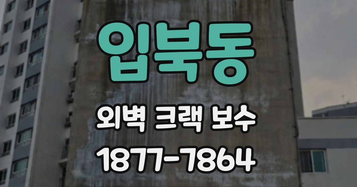 입북동 외벽 크랙 보수