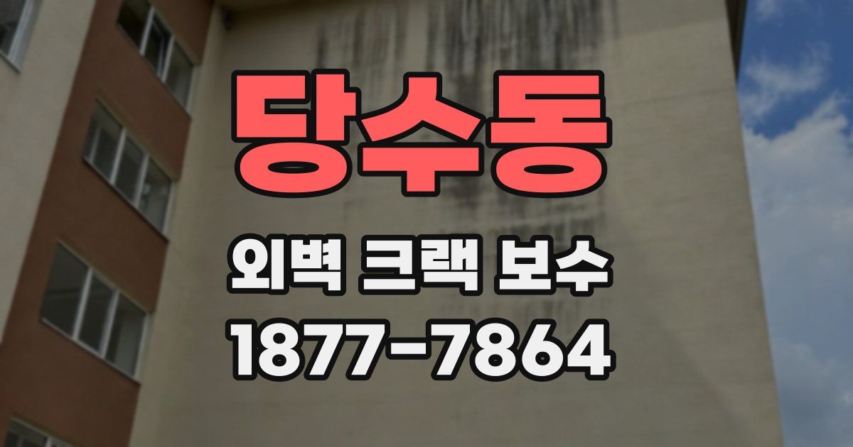 당수동 외벽 크랙 보수
