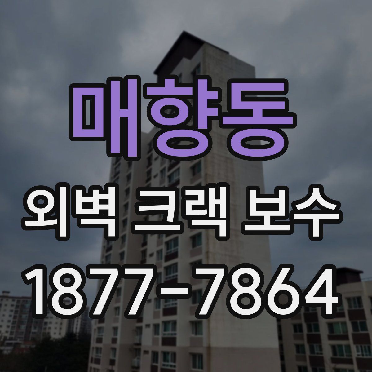 매향동 외벽 크랙 보수