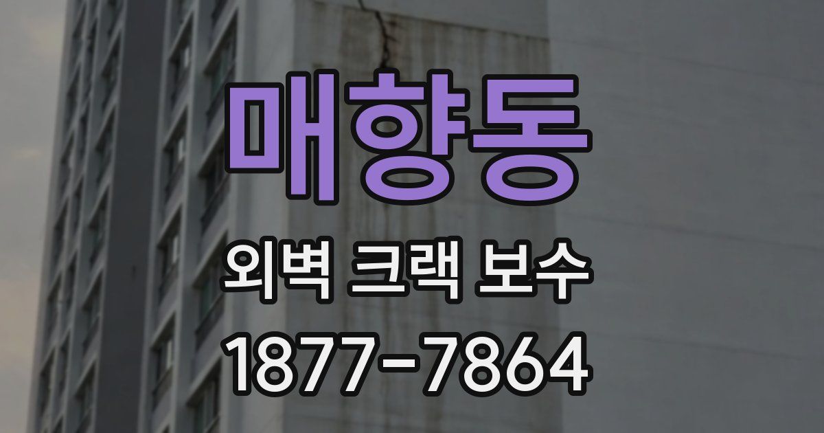매향동 외벽 크랙 보수