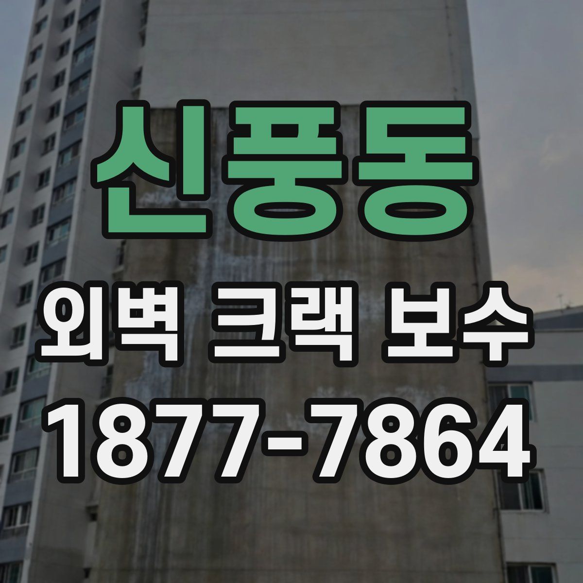 신풍동 외벽 크랙 보수
