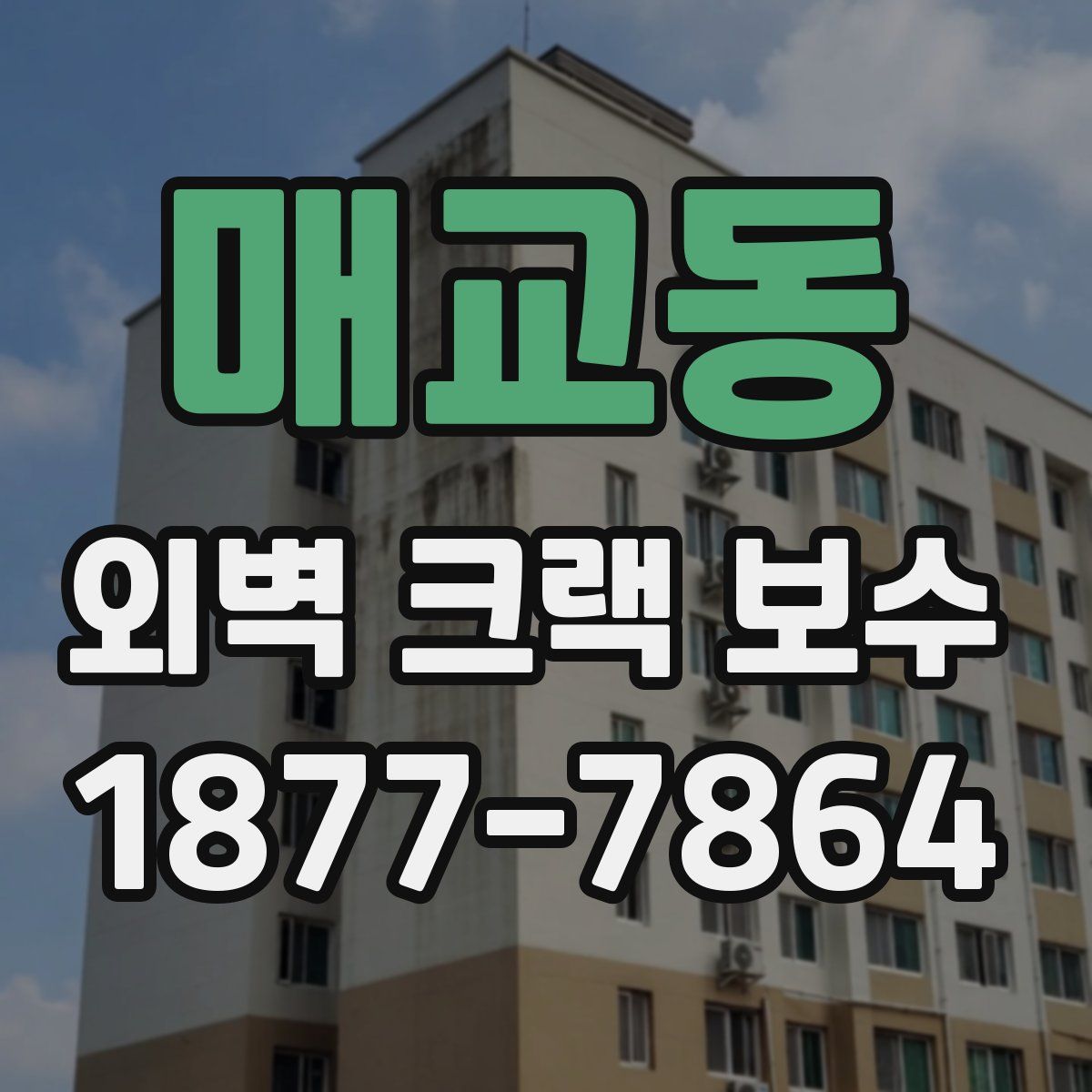 매교동 외벽 크랙 보수