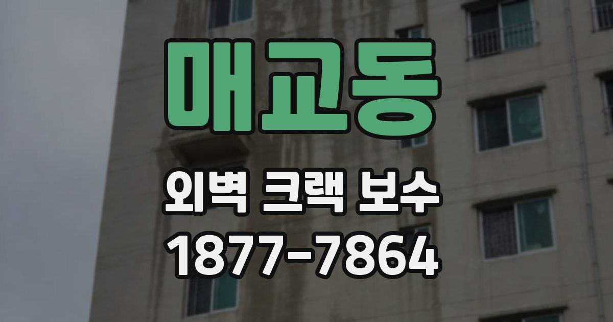 매교동 외벽 크랙 보수