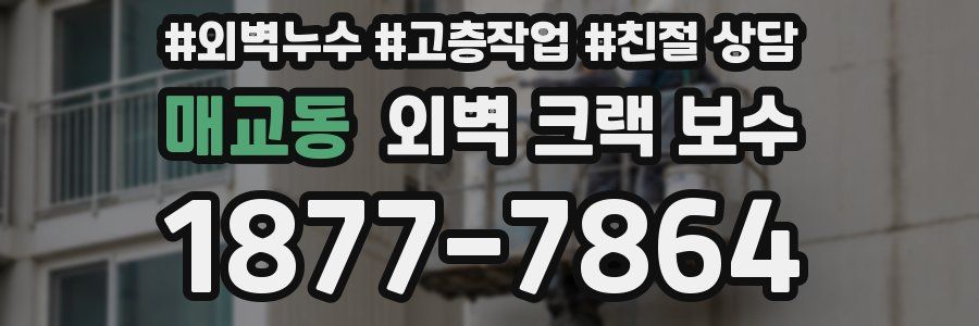 매교동 외벽 크랙 보수
