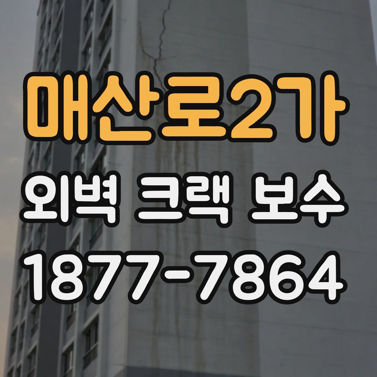 매산로2가 외벽 크랙 보수