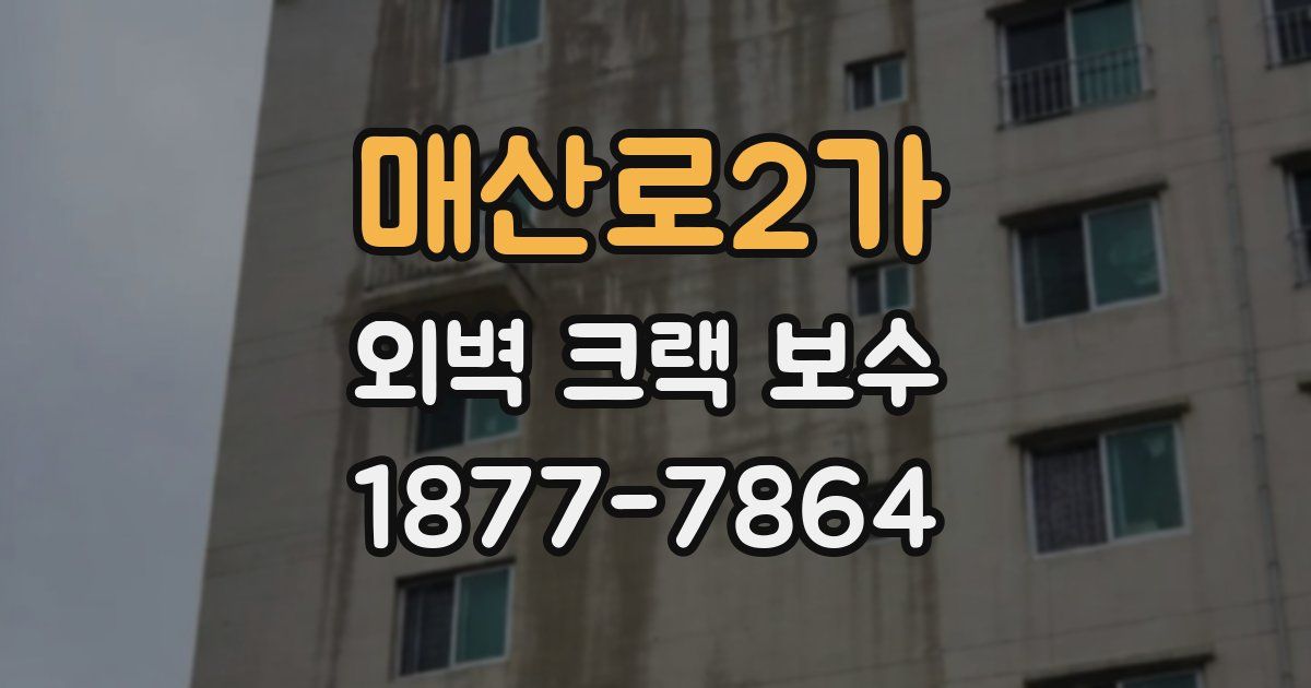 매산로2가 외벽 크랙 보수