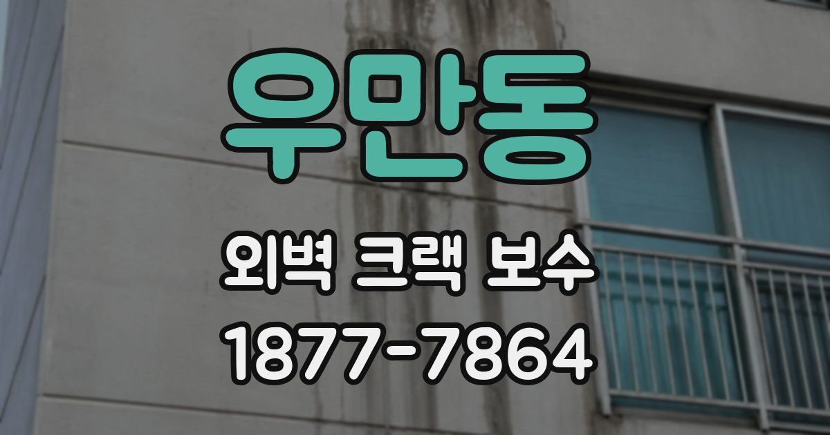 우만동 외벽 크랙 보수