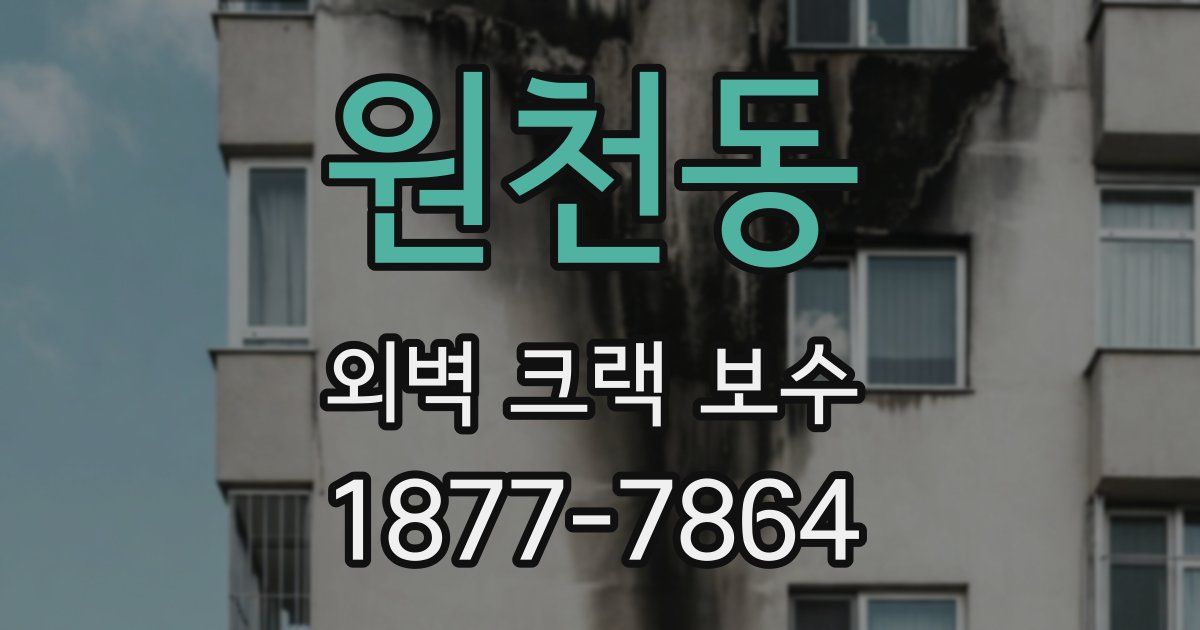 원천동 외벽 크랙 보수
