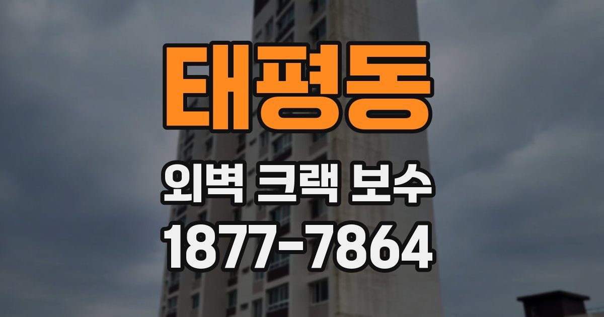 태평동 외벽 크랙 보수