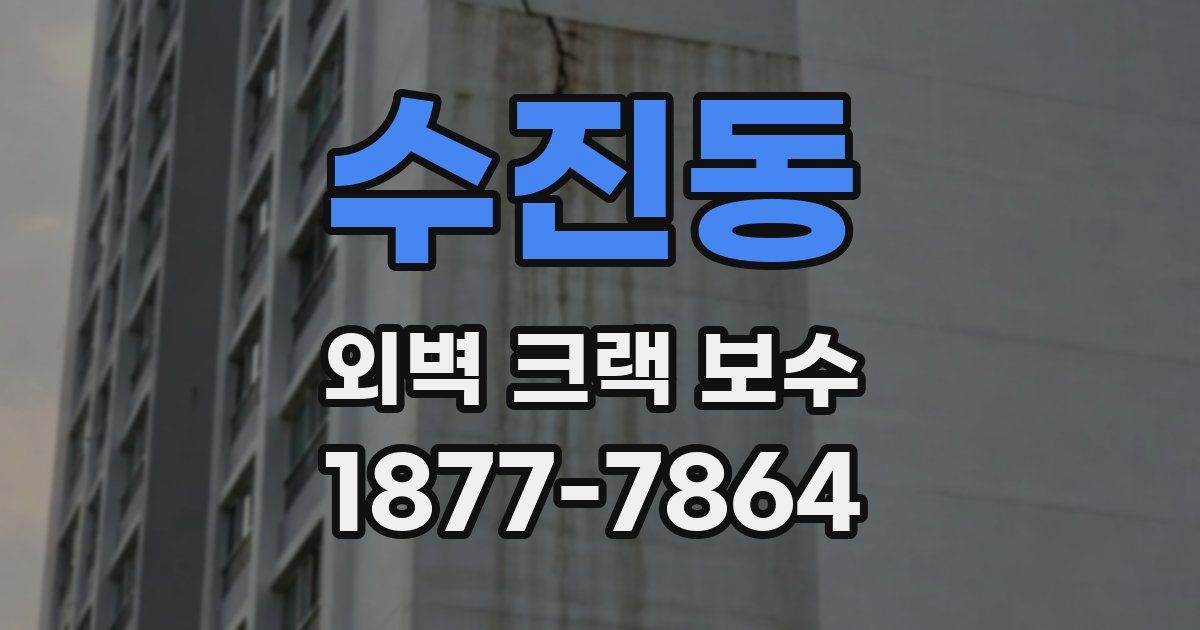 수진동 외벽 크랙 보수