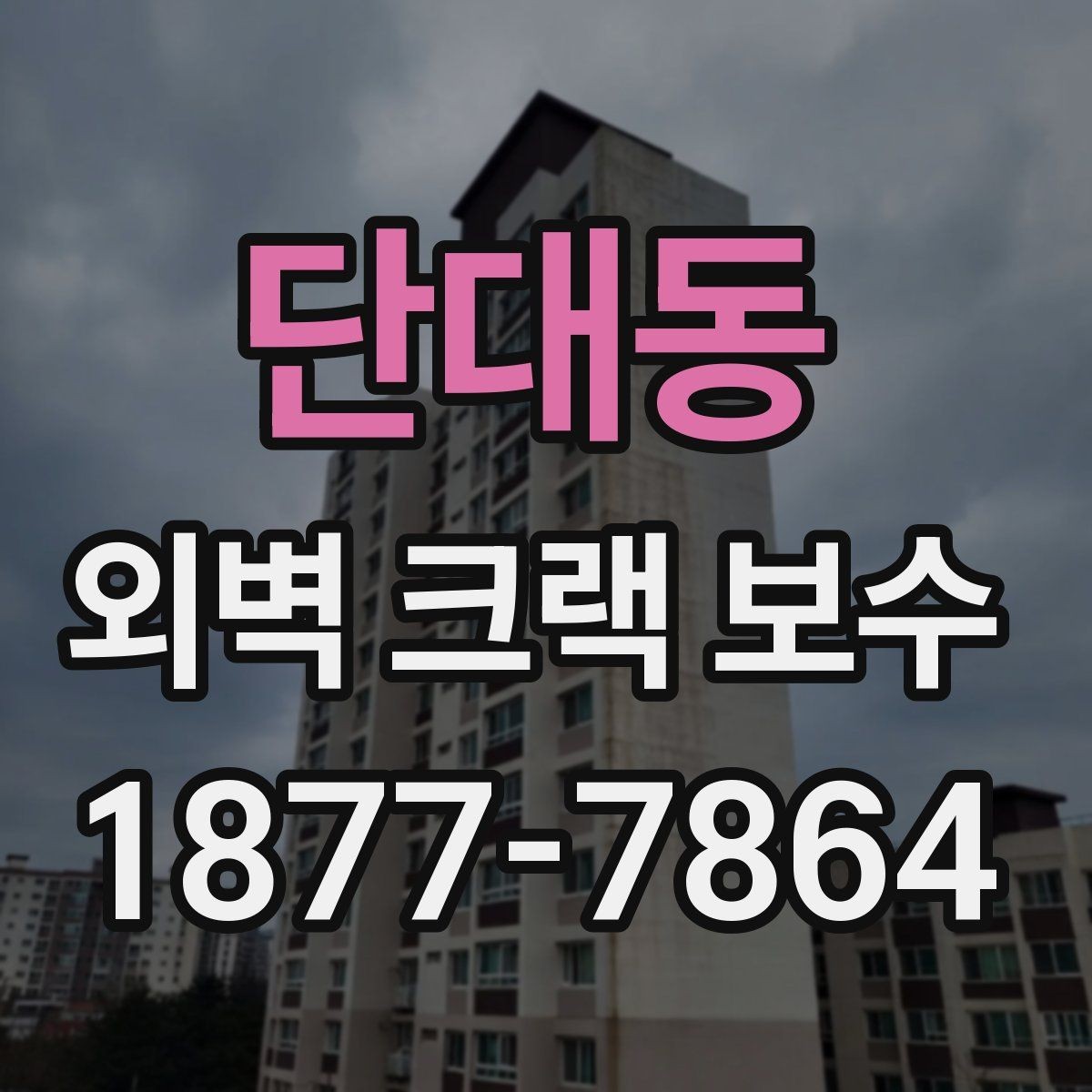 단대동 외벽 크랙 보수 후 환기와 건조 관리 방법