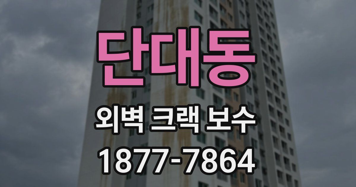 단대동 외벽 크랙 보수