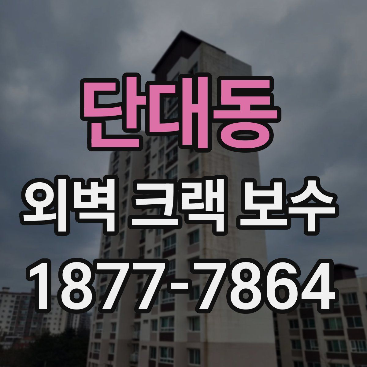 단대동 외벽 크랙 보수