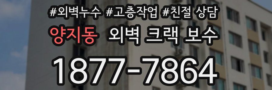양지동 외벽 크랙 보수