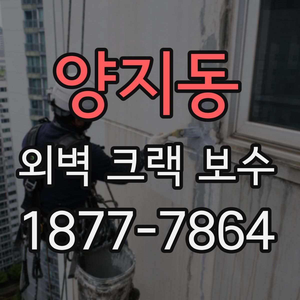 양지동 외벽 크랙 보수