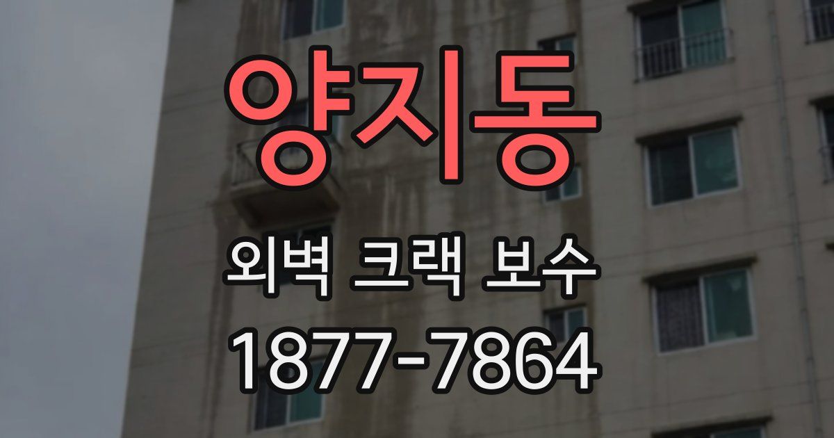 양지동 외벽 크랙 보수